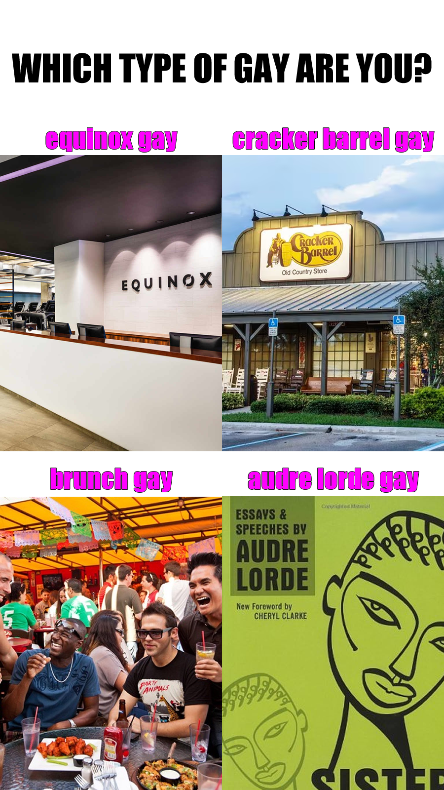The meme is a humorous quiz that asks "Which type of gay are you?" and presents four options: "Gay for brunch", "Gay for the gym", "Gay for the internet", and "Gay for the weekend". The options are accompanied by images of a person at a brunch buffet, a person at the gym, a person scrolling through their phone, and a person at a party, respectively. The text at the top of the meme asks the viewer to "Choose your gay" and provides a link to a quiz that will determine which type of gay they are.